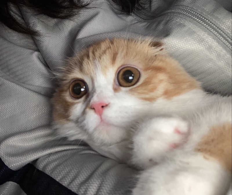 フリーさんのSauna Talo Toyama サウナタロトヤマのサ活写真