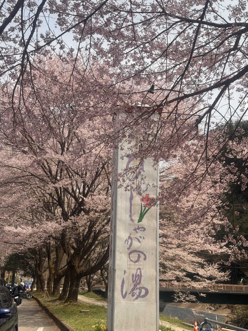アーチャソさんの巌立峡 ひめしゃがの湯のサ活写真