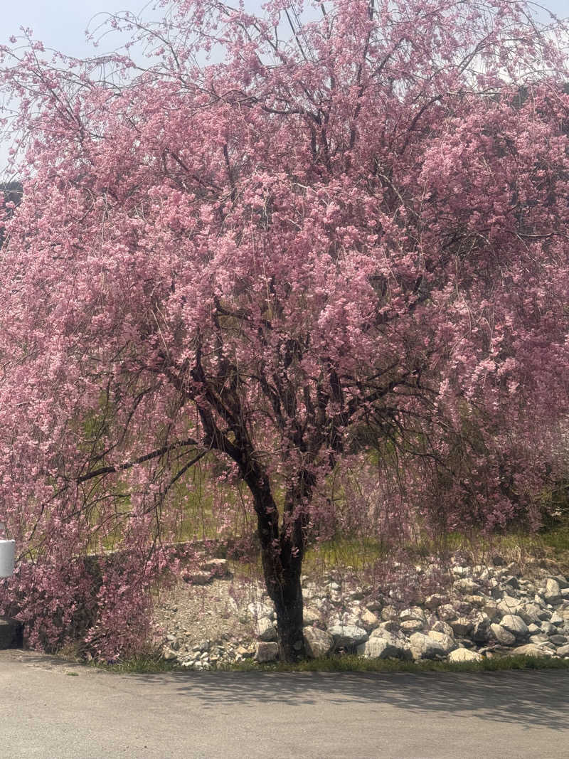 アーチャソさんの巌立峡 ひめしゃがの湯のサ活写真