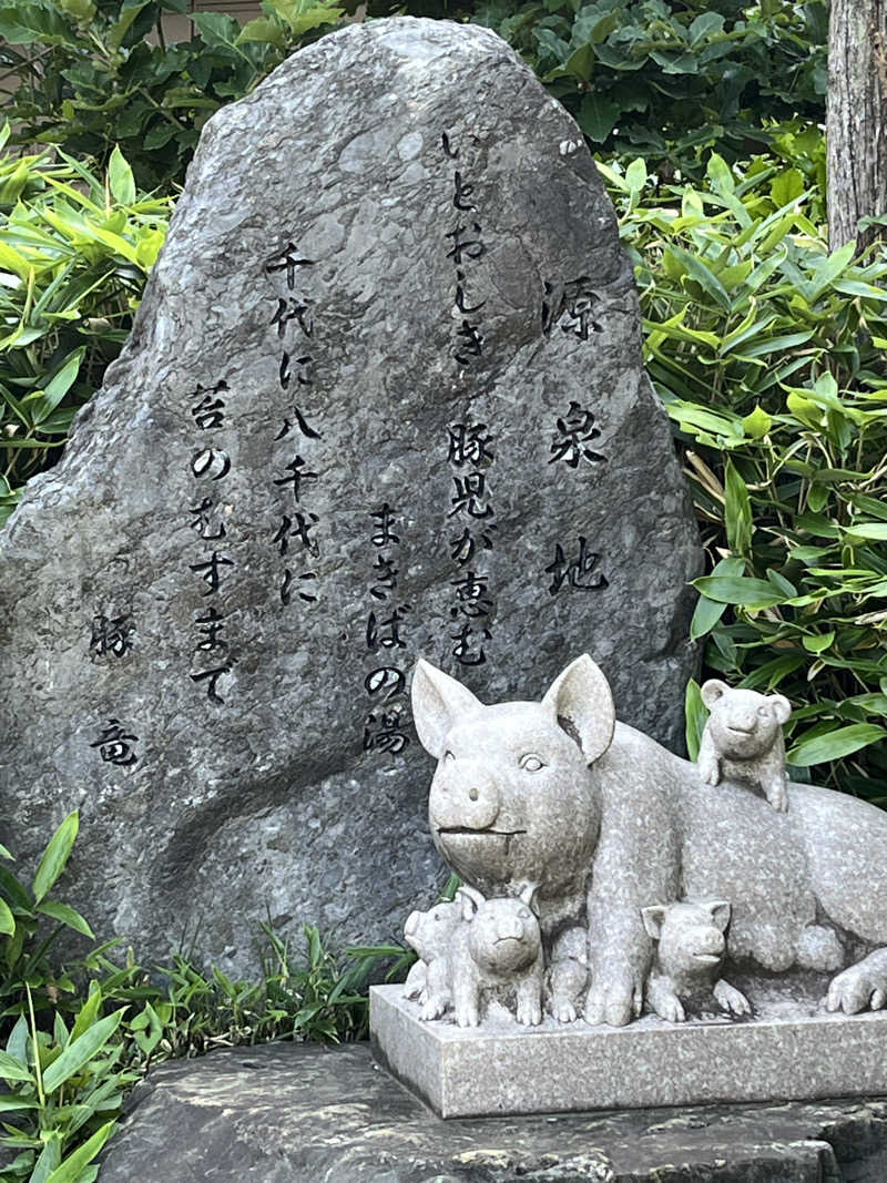 こぇさんの天然温泉 花鳥風月のサ活写真