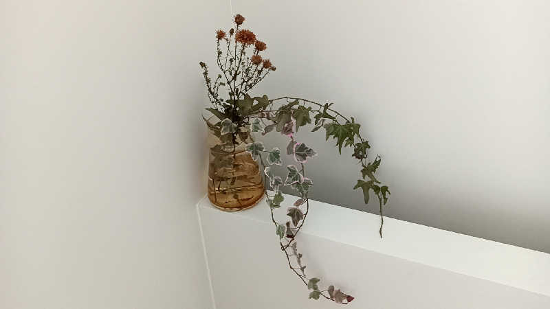 藤山さんのプライベートサウナ アメノチハレのサ活写真