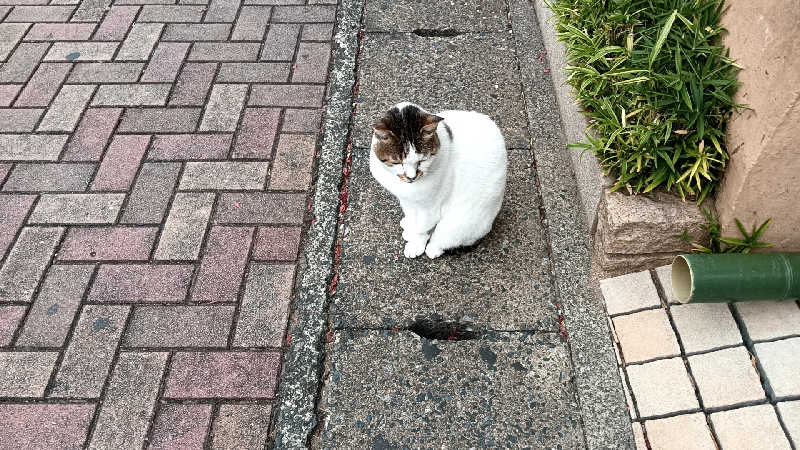 藤山さんのプライベートサウナ アメノチハレのサ活写真