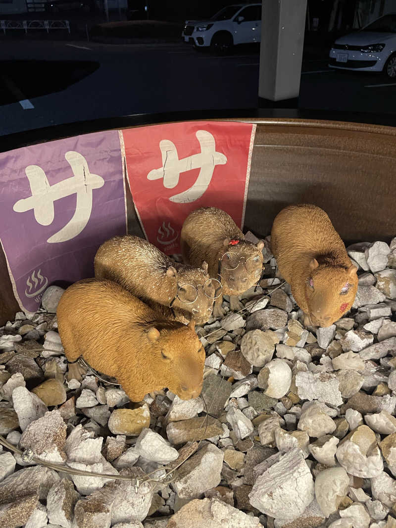 saunatoofuroさんの富士山天然水SPA サウナ鷹の湯のサ活写真
