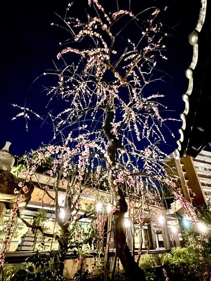 saunatoofuroさんの多摩境天然温泉 森乃彩のサ活写真