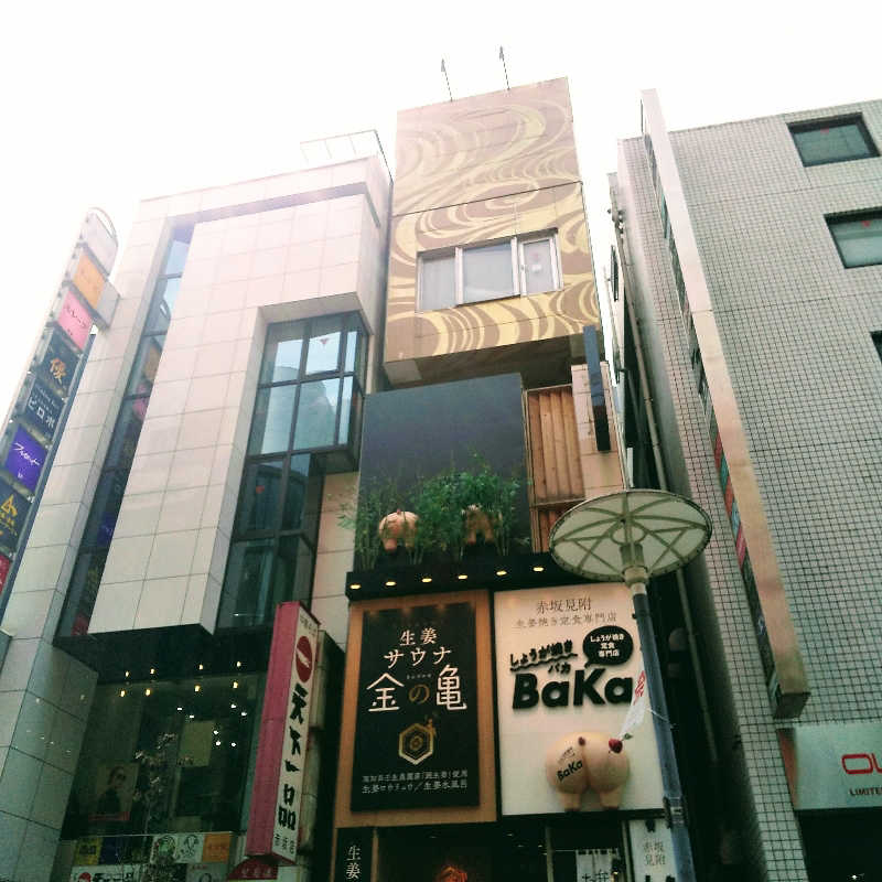 恍惚のハムちゃんさんの生姜サウナ 金の亀のサ活写真