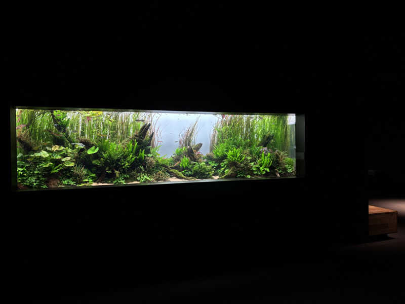 蒸しJETさんの冨士乃湯のサ活写真