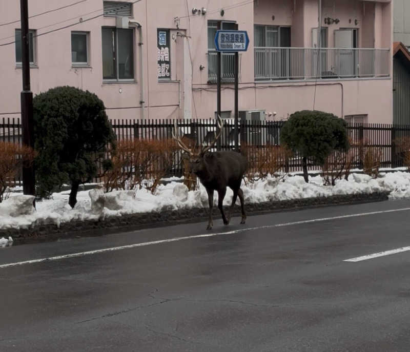 蒸しJETさんの登別温泉 登別グランドホテルのサ活写真