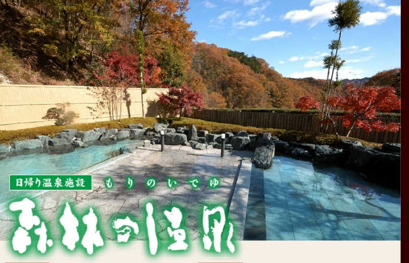 mepokomuさんの大子温泉保養センター 森林の温泉のサ活写真