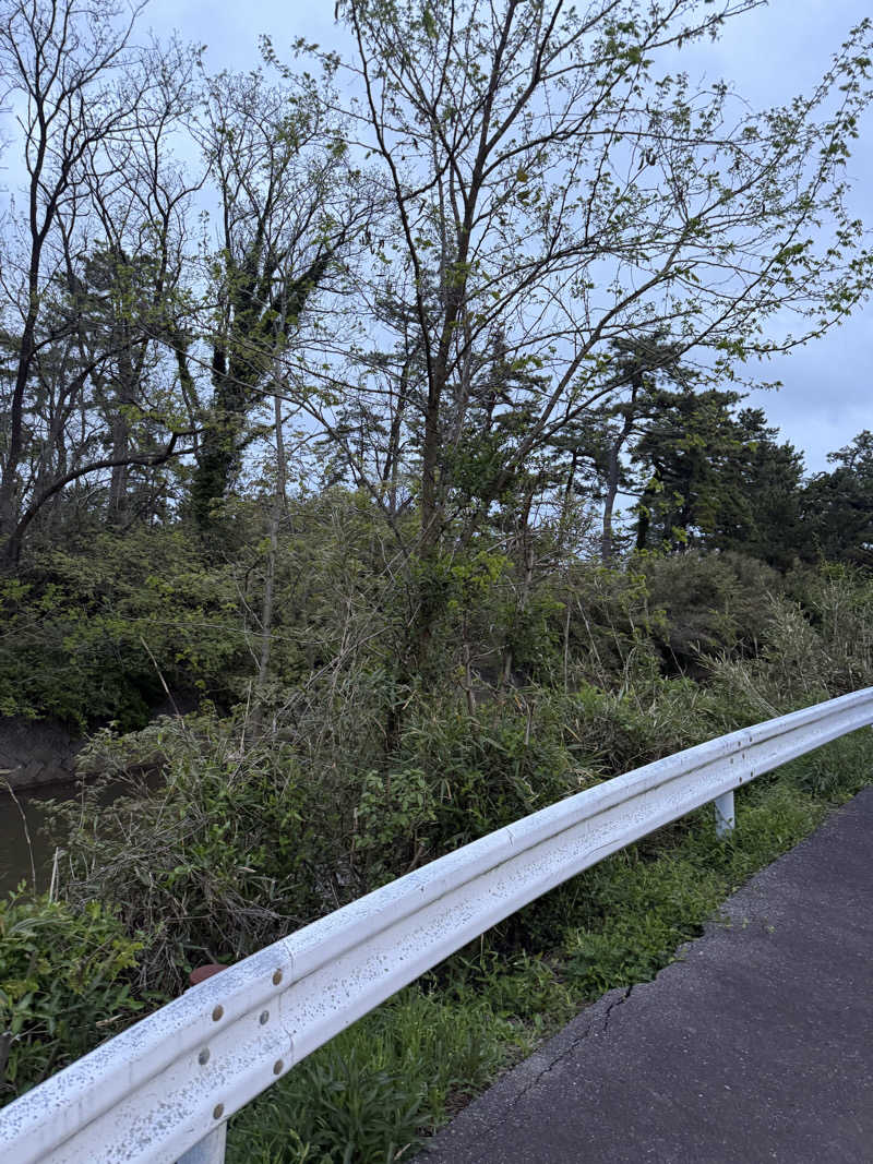 雛見沢さんの日方江温泉のサ活写真