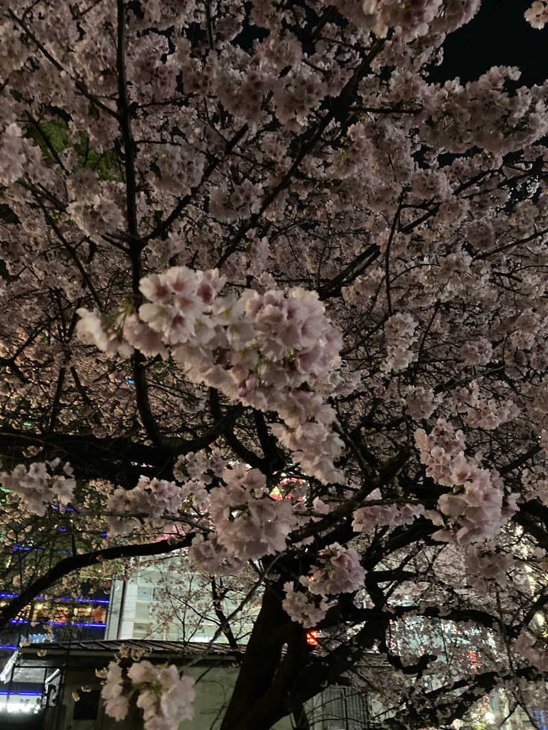 ossseiさんのサウナ&カプセルホテル 北欧のサ活写真