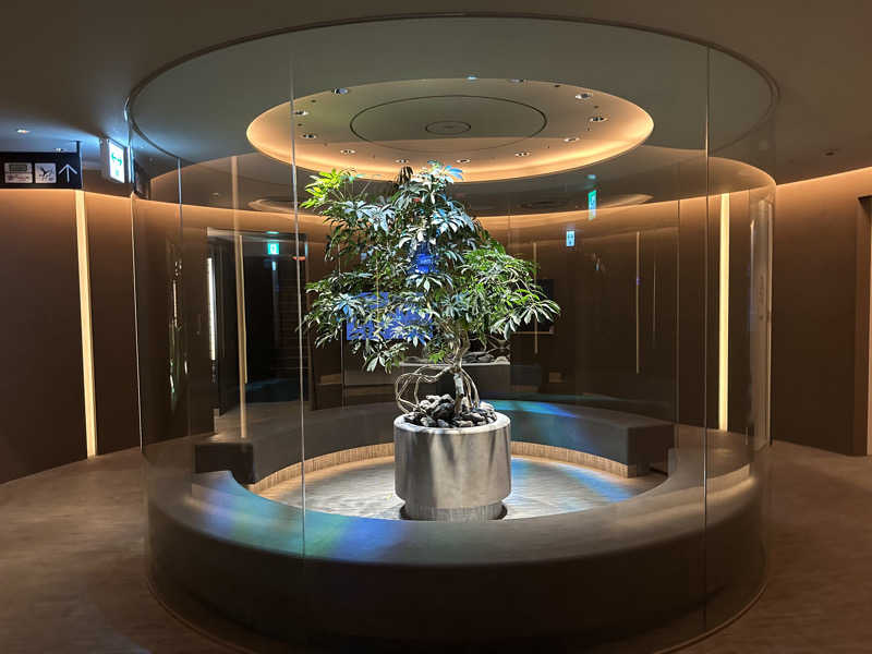 けいんさんのO2プラージュのサ活写真