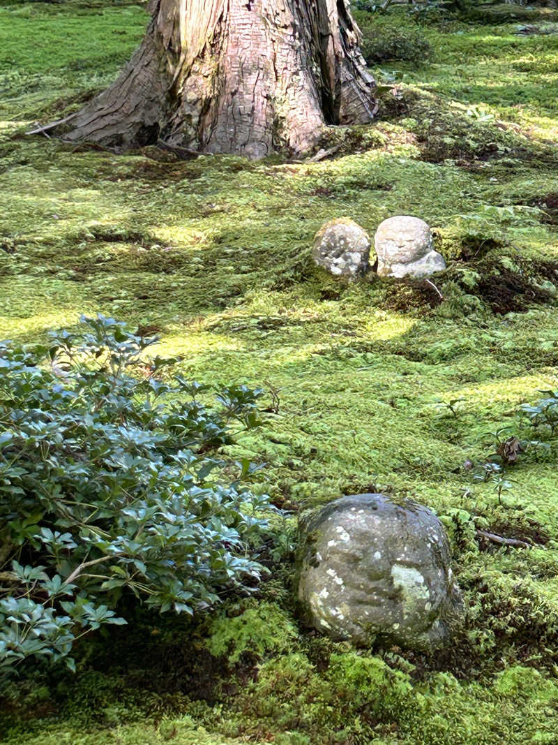 うさうさうさぎさんの天然温泉 蓮花の湯 御宿 野乃 京都七条のサ活写真