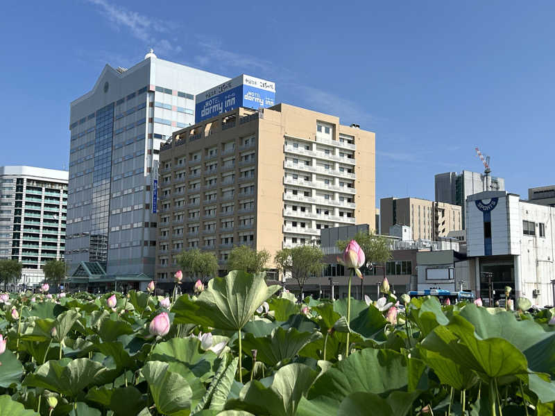 うさうさうさぎさんの中通温泉こまちの湯 ドーミーイン秋田のサ活写真