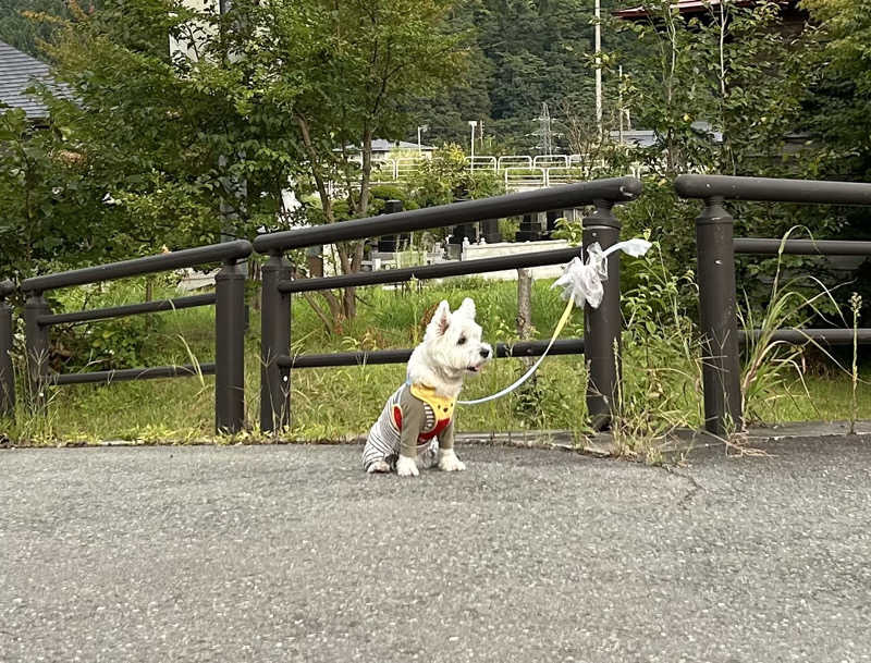 うさうさうさぎさんの水沢温泉館のサ活写真