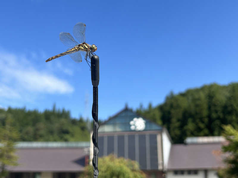 うさうさうさぎさんの水沢温泉館のサ活写真