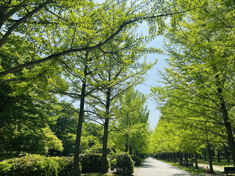 うさうさうさぎさんのプライベートサウナ 月灯り / 湯坊いちらくTENDO SPA&BREWERYのサ活写真