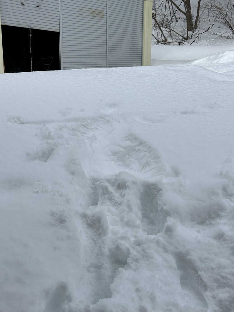 みゅうのオヤジさんの滝つぼサウナ(サンバードサウナガーデン)のサ活写真