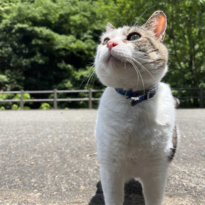 りんさんのあおぞらサウナ-CAMPのサ活写真