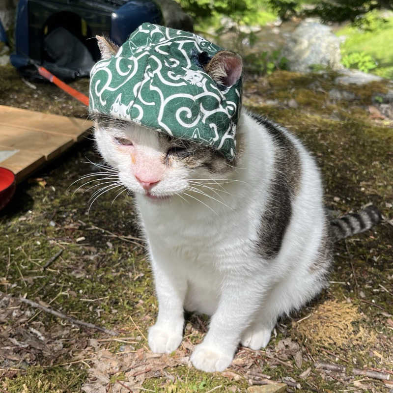 りんさんのあおぞらサウナ-CAMPのサ活写真