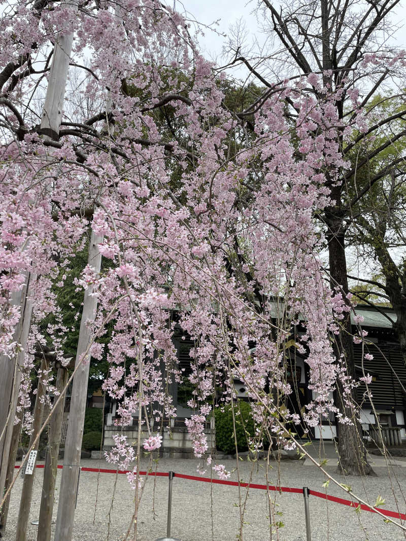 サウナーのフリーレンさんのRAKU SPA Station 府中のサ活写真
