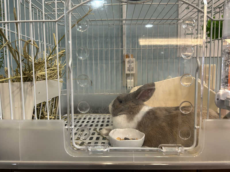 ピカちゃんさんのアクアリゾート 岐阜ふじの湯のサ活写真