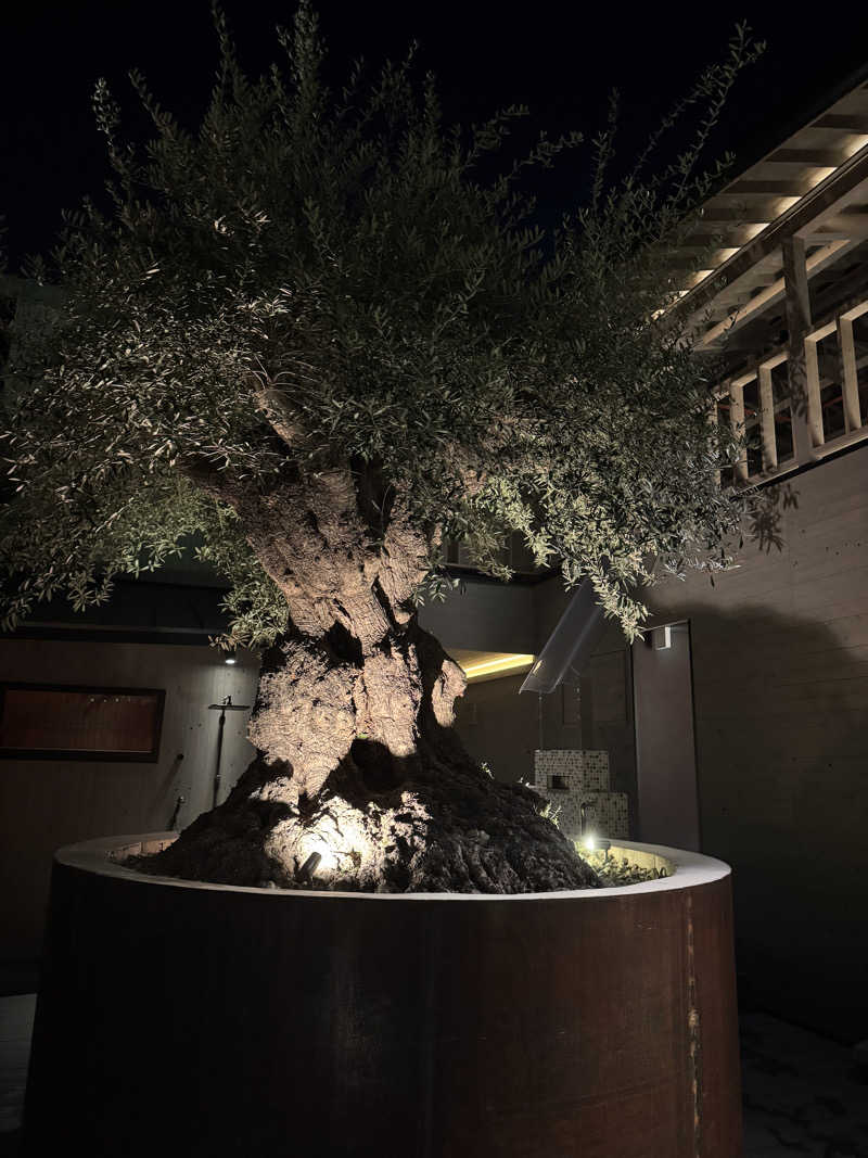 まいまい 🇯🇵🇫🇮2拠点生活さんのsauna kolme kylä (サウナ コルメ キュラ)のサ活写真