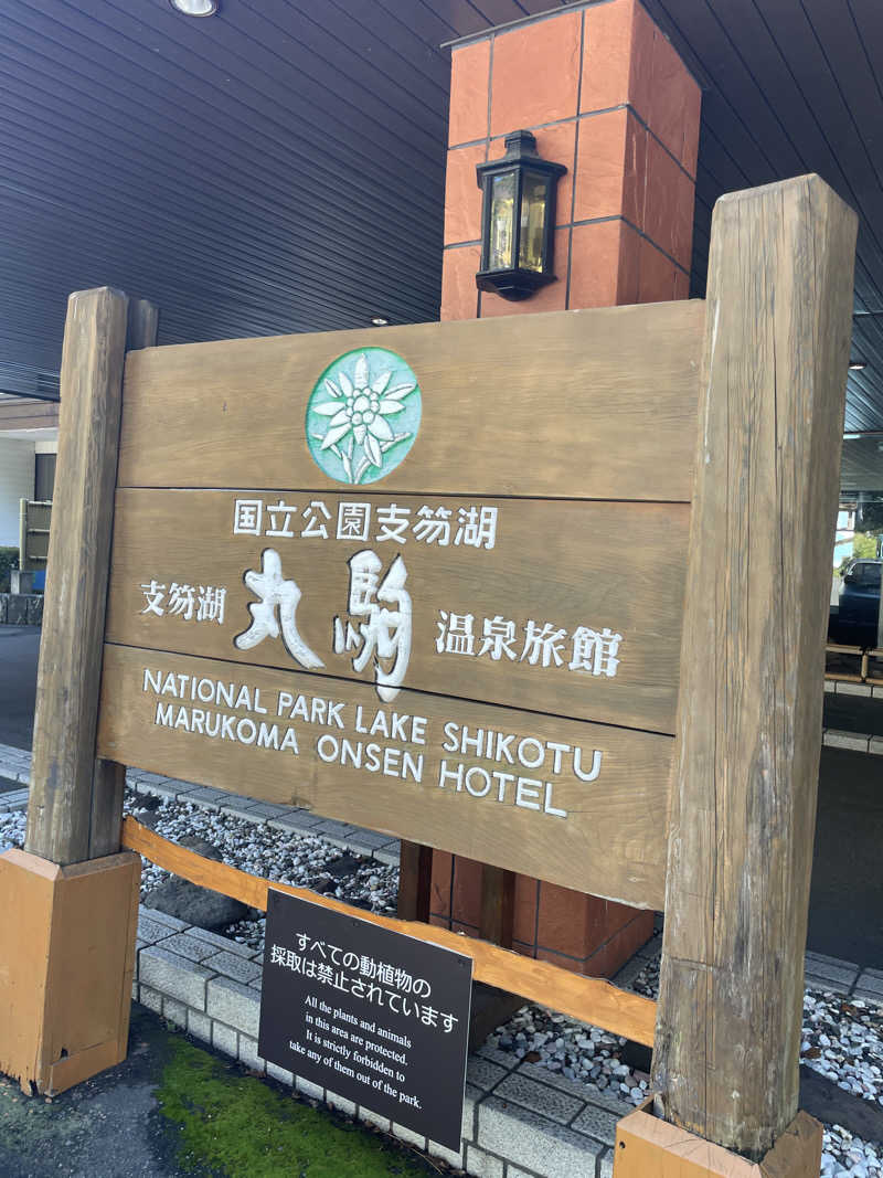 tttetttさんの奥札幌の秘湯 湖畔の宿支笏湖 丸駒温泉旅館のサ活写真