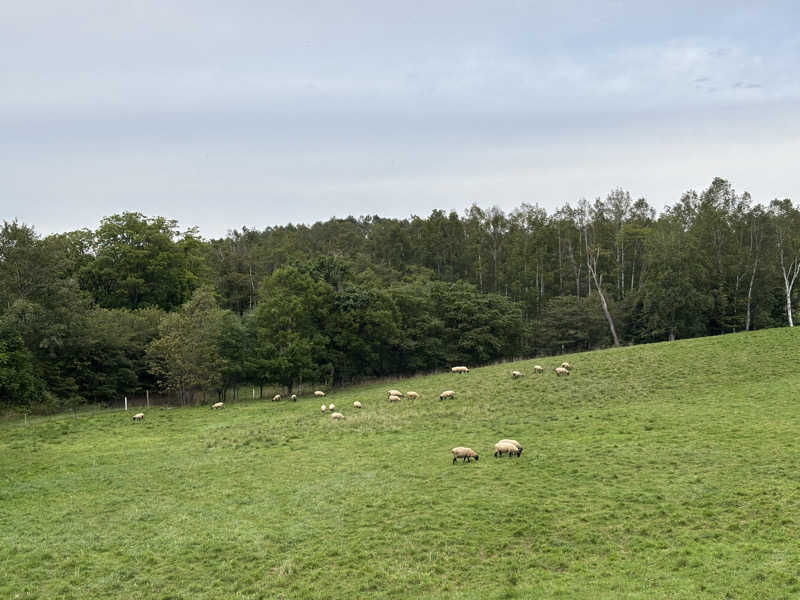 みっつさんの士別inn翠月のサ活写真