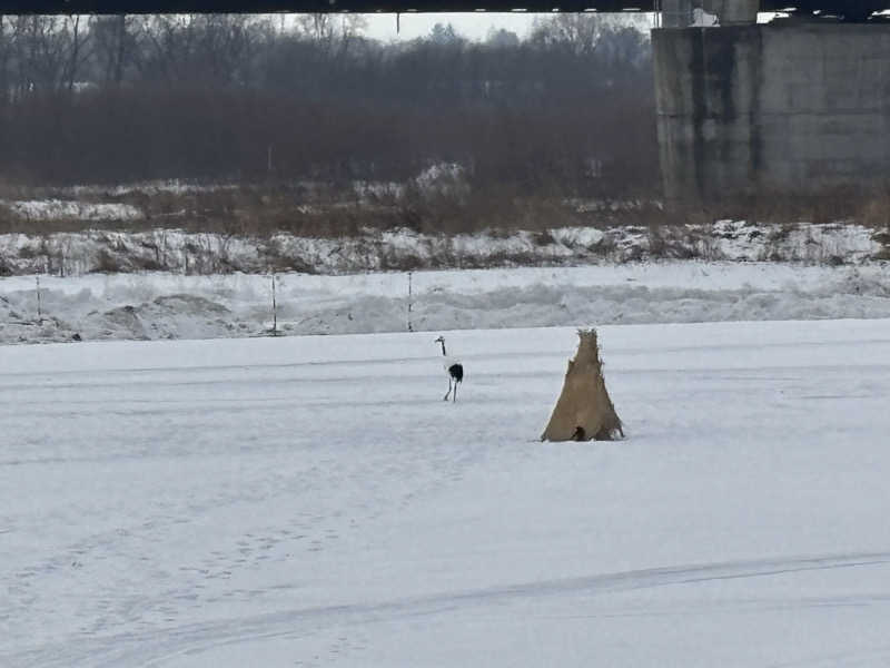 みっつさんの十勝川温泉 第一ホテルのサ活写真