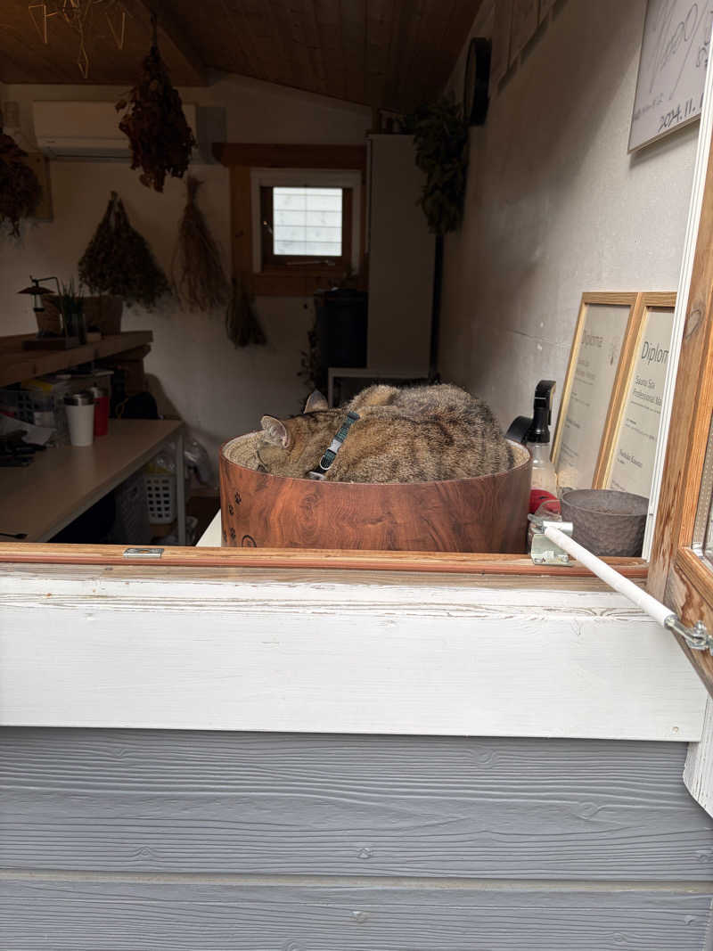 じゅん1ろうさんのOUSE SAUNA TUULI(OUSE Camp&Sauna TUULI内)のサ活写真