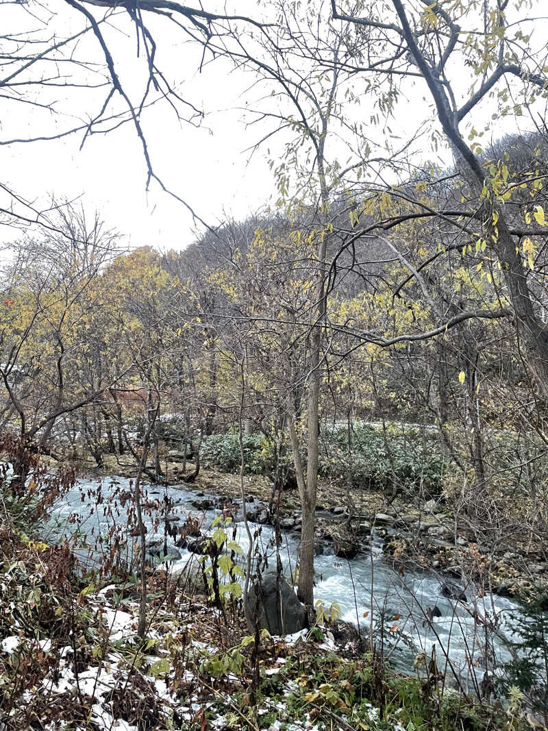 すいさんの旅房はなえみのサ活写真