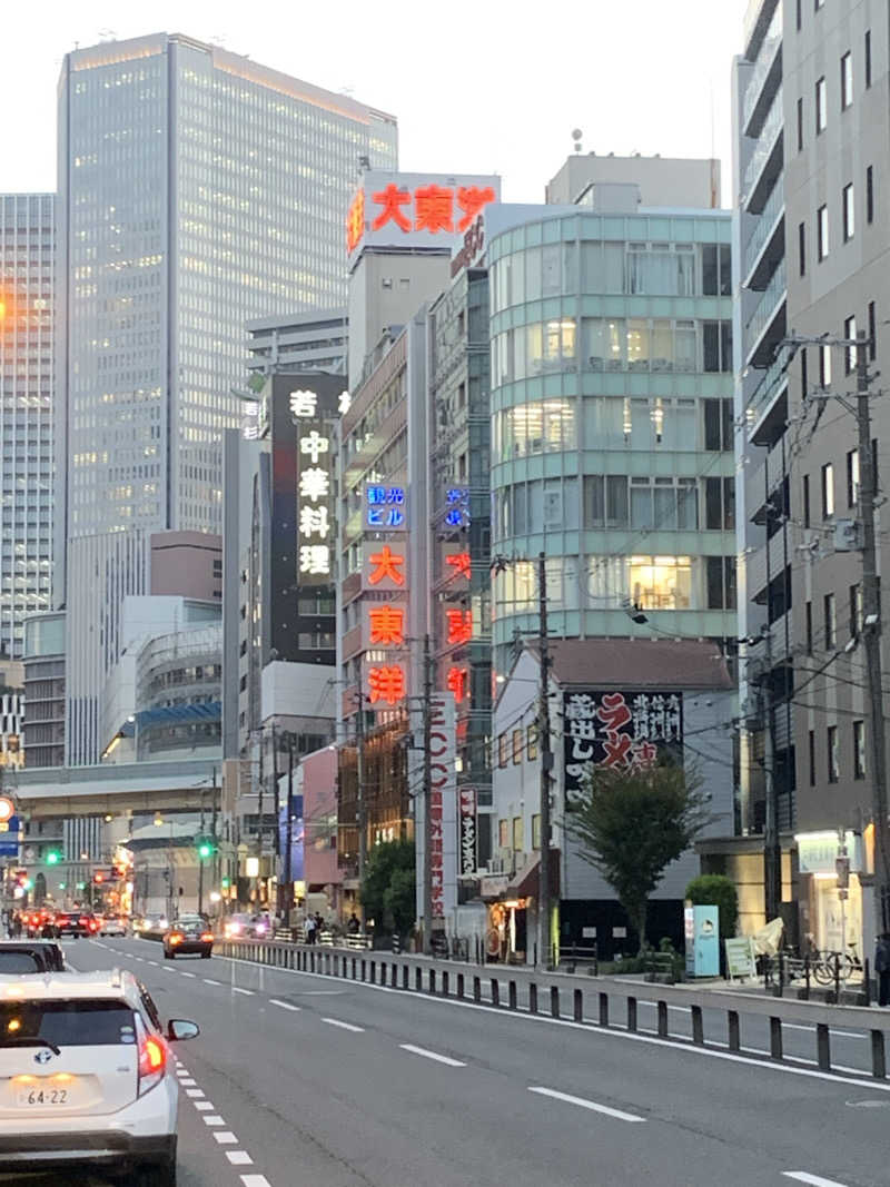 なのですさんのサウナ&スパ カプセルホテル 大東洋のサ活写真