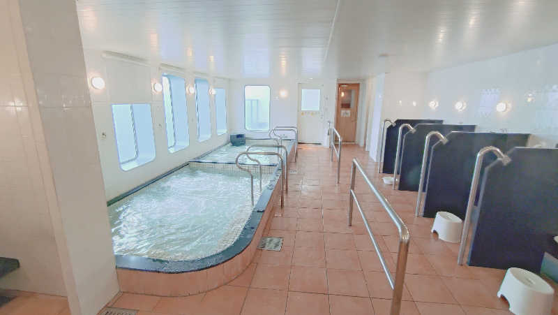 ko-2615さんのはまゆう(東京九州フェリー)のサ活写真