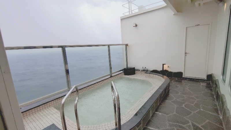 ko-2615さんのはまゆう(東京九州フェリー)のサ活写真