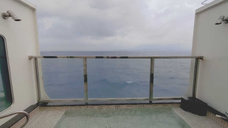 ko-2615さんのはまゆう(東京九州フェリー)のサ活写真