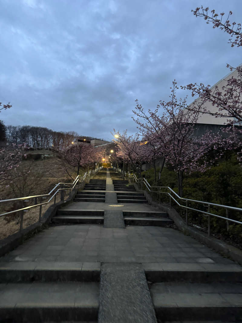 サウナーKenさんの竜泉寺の湯 八王子みなみ野店のサ活写真