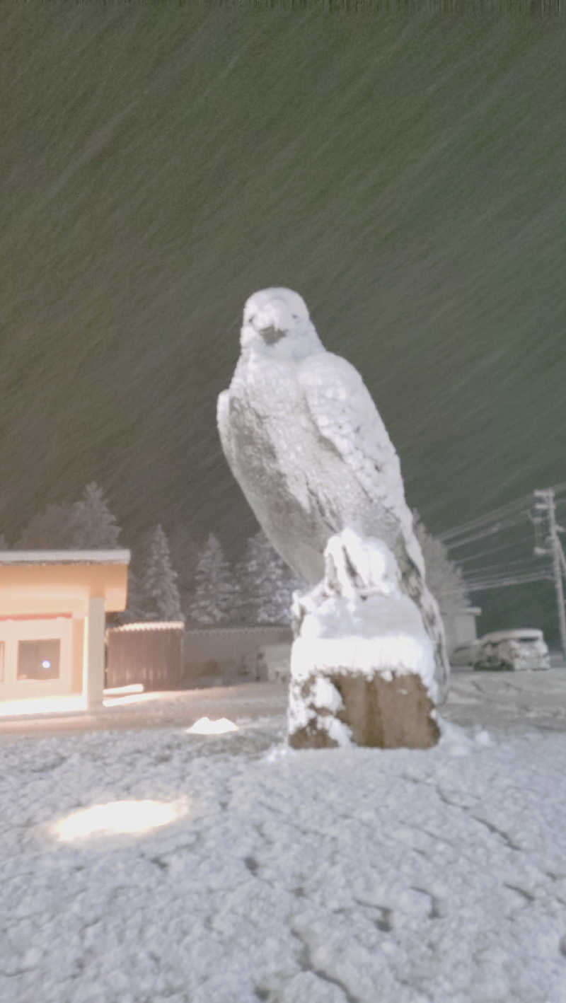 yasukaさんのおけと勝山温泉ゆぅゆのサ活写真