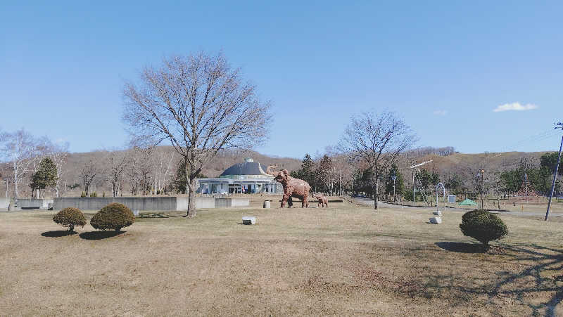 yasukaさんの十勝ナウマン温泉ホテルアルコのサ活写真