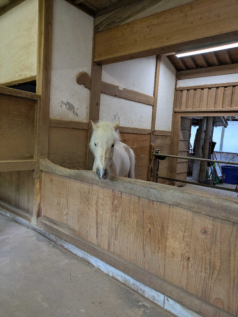 サウナ大好き❤さんのことひら温泉琴参閣のサ活写真
