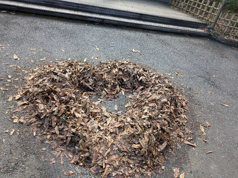 サウナ大好き❤さんのモダン湯治 おんりーゆーのサ活写真