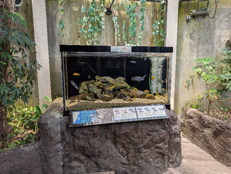 RYUJI SAKAIさんのやよいの湯のサ活写真