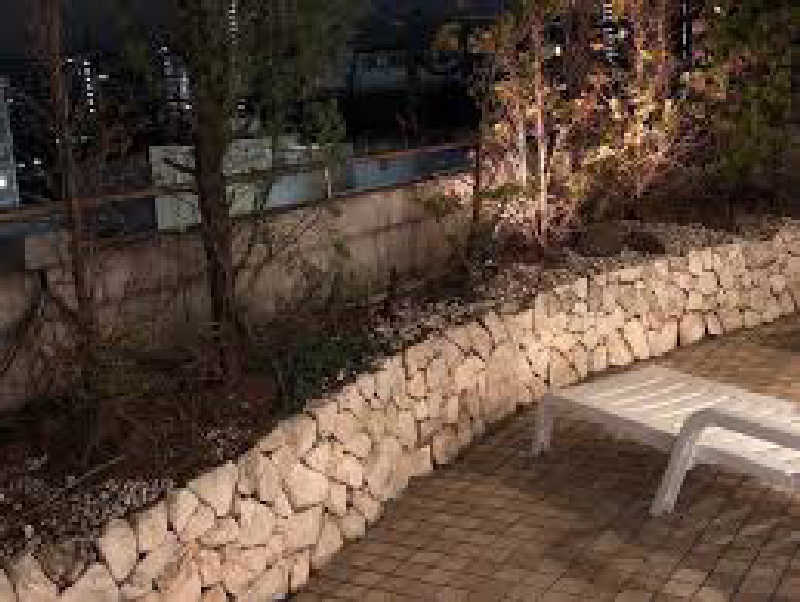 dobannaさんのゴールドジム西葛西東京のサ活写真