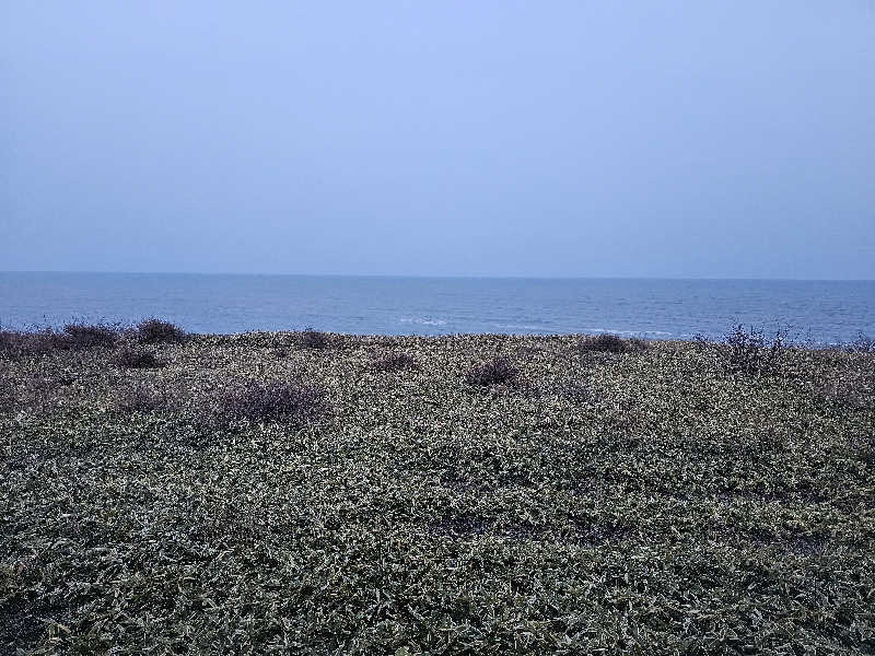 サウナの国のエド (Edu)さんの晩成温泉のサ活写真