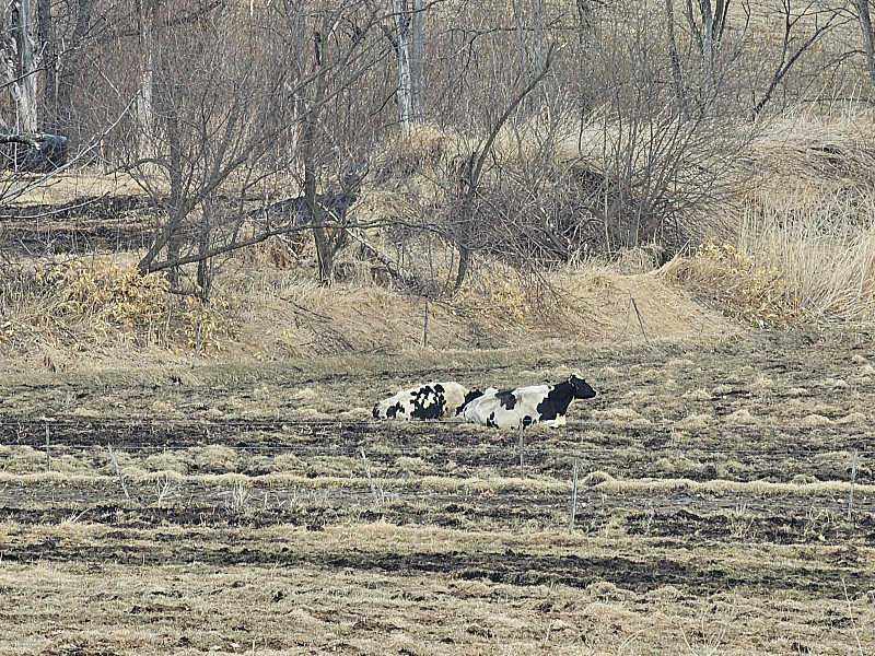 サウナの国のエド (Edu)さんの十勝しんむら牧場 ミルクサウナのサ活写真