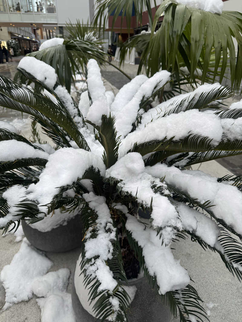 トトノイタイ❤️‍🔥さんの楽天地天然温泉 法典の湯のサ活写真