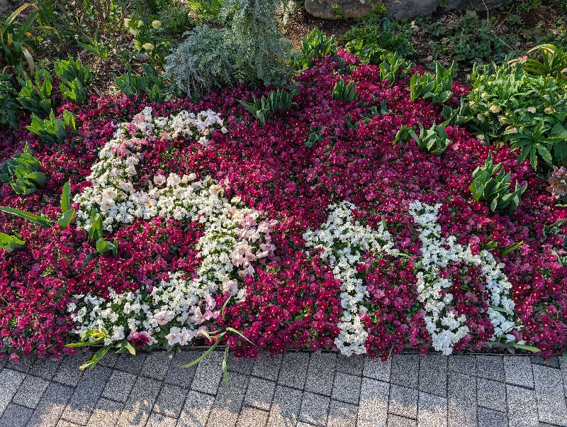 321（サニイ）さんのよみうりランド眺望温泉 花景の湯のサ活写真