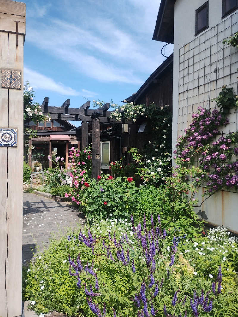 麺たさんのカーブドッチヴィネスパのサ活写真