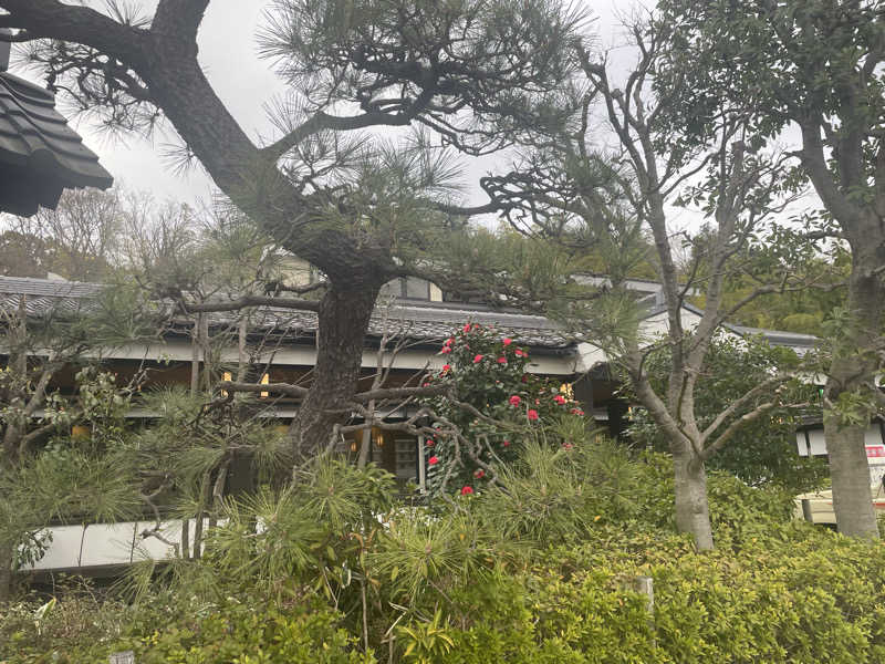 KINAさんの多摩境天然温泉 森乃彩のサ活写真