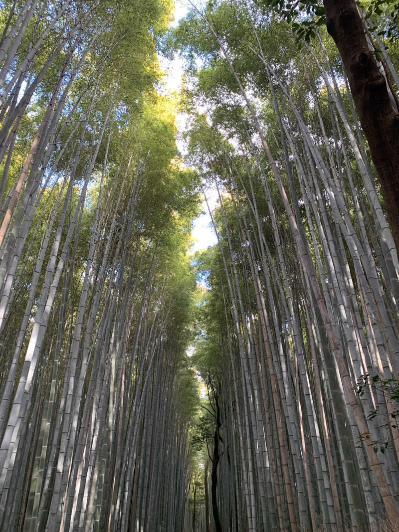Hiromi Yoshizumiさんの風風の湯のサ活写真
