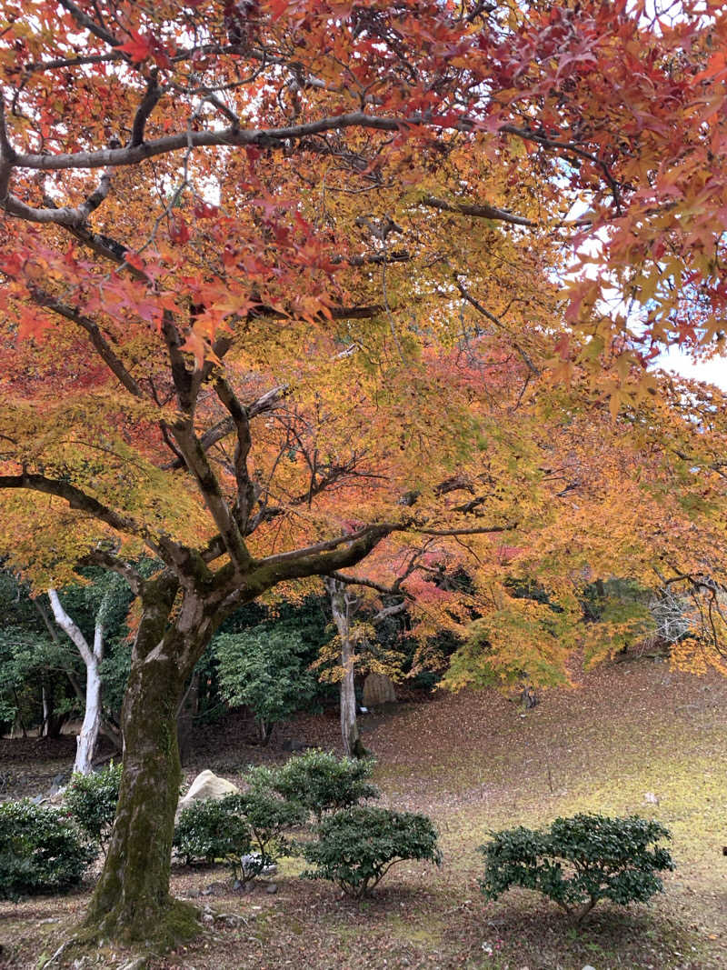 Hiromi Yoshizumiさんの風風の湯のサ活写真